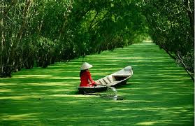 Mekong Delta, Vietnam